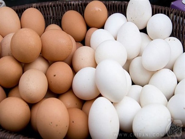 تخم مرغ سفید یا قهوه ای