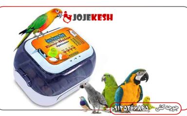 جوجه کشی انواع طوطی