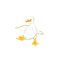 قوغاز